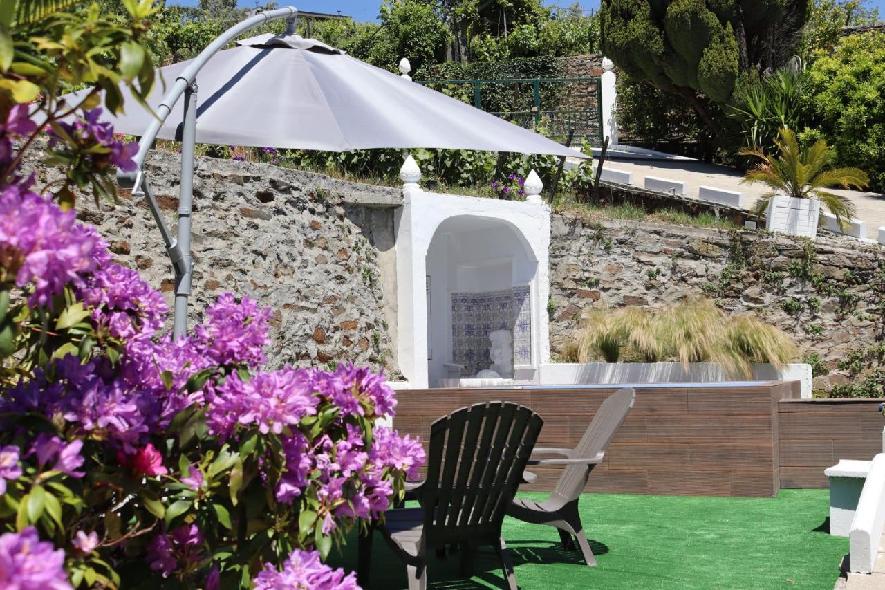 Villa Samaritana - Casa Da Vinha Vila Marim Extérieur photo
